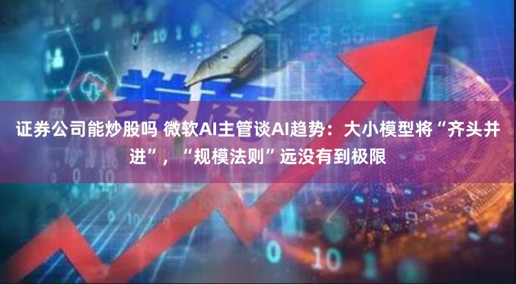 证券公司能炒股吗 微软AI主管谈AI趋势：大小模型将“齐头并进”，“规模法则”远没有到极限