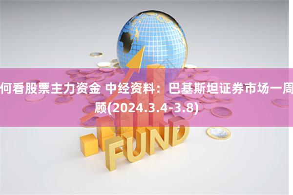 如何看股票主力资金 中经资料:巴基斯坦证券市场一周回顾(2024.3.4-3.8)